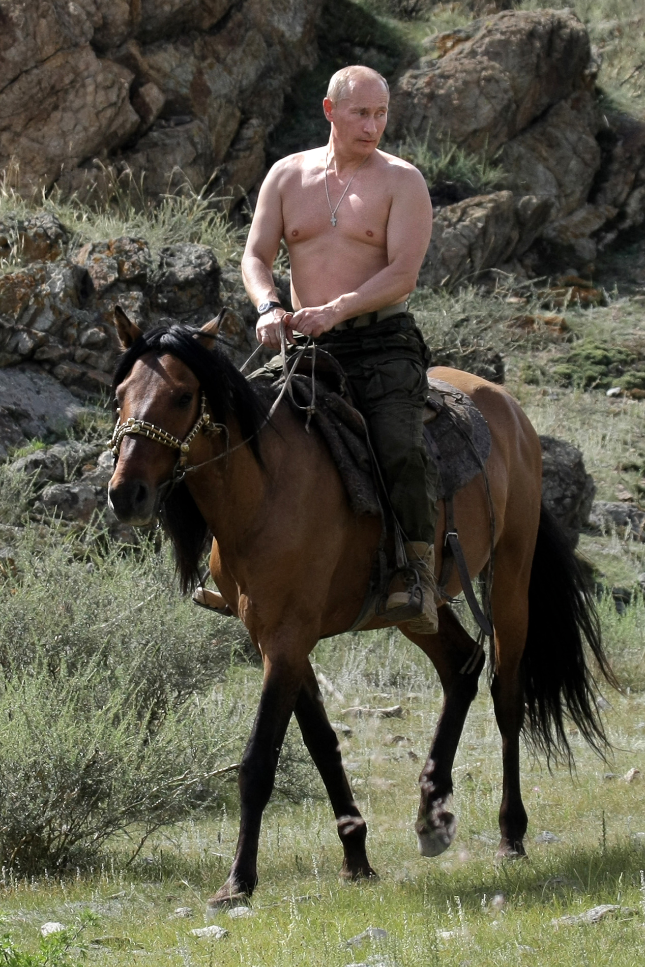 Putin, Pferd, Russland, Staatsoberhaupt, Sport