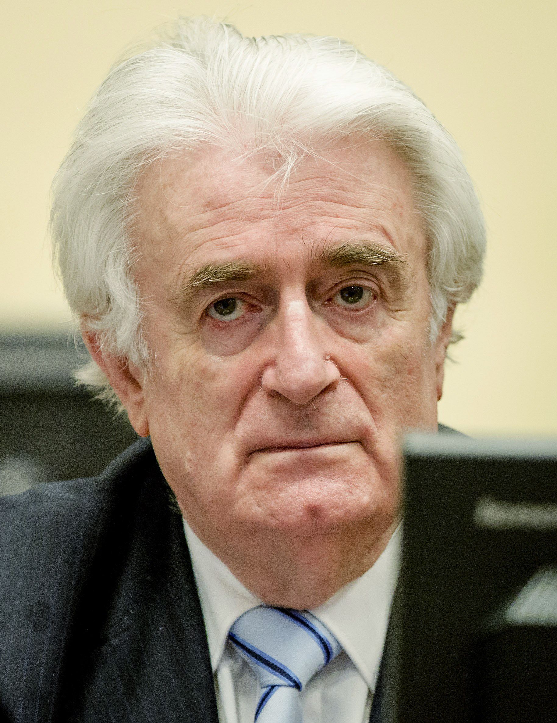 Karadzic, verurteilt, Den Haag, Kriegstribunal