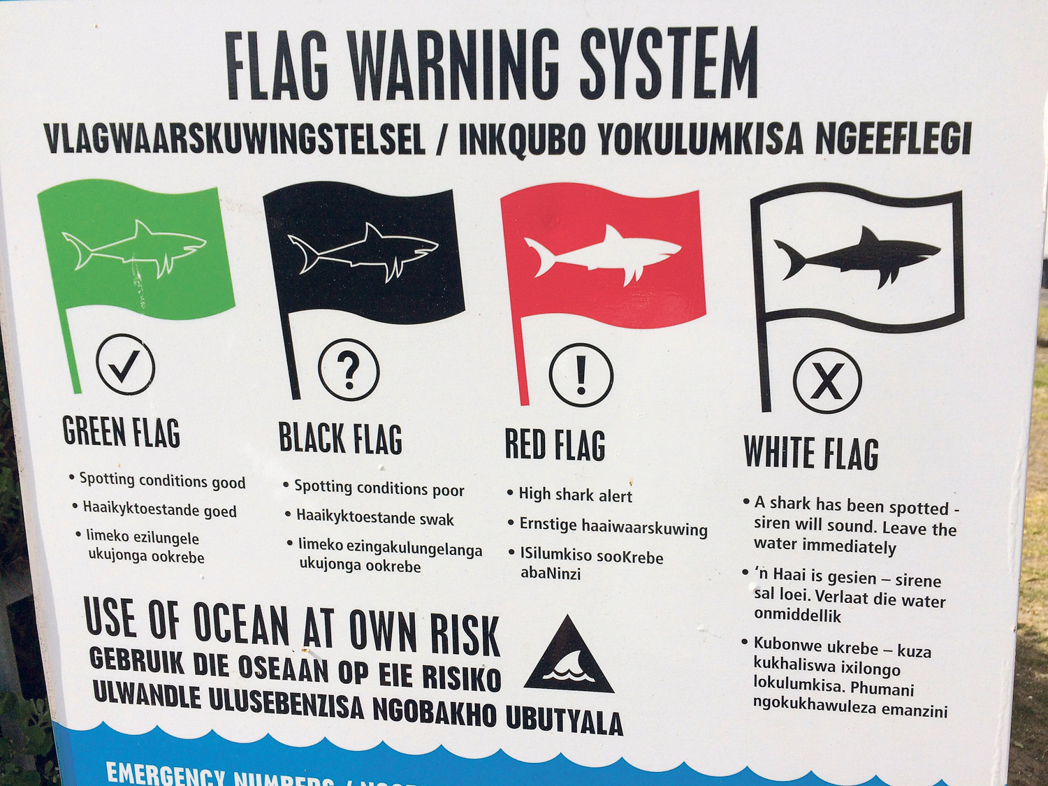 Hai-Warnsystem: Weiße Fahne bedeutet - Hai gesichtet. 